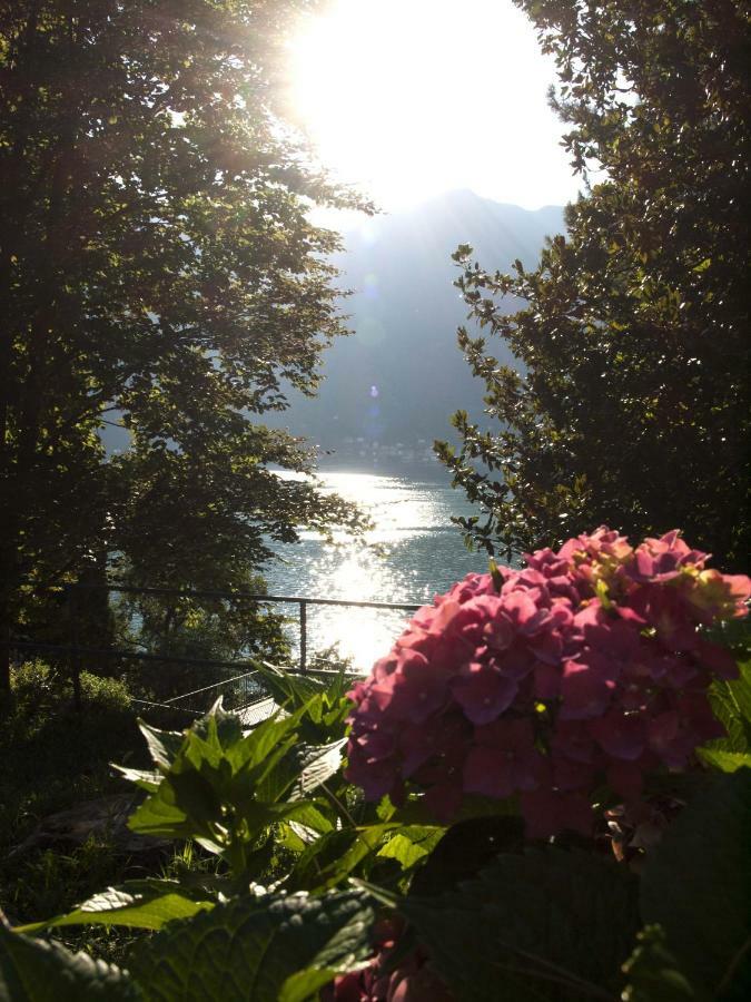 Casa Marina - Appartamento Nel Residence Di Nesso Exterior photo